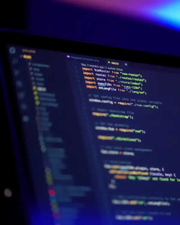 Desarrollo web a medida vs Wordpress y otras soluciones comerciales